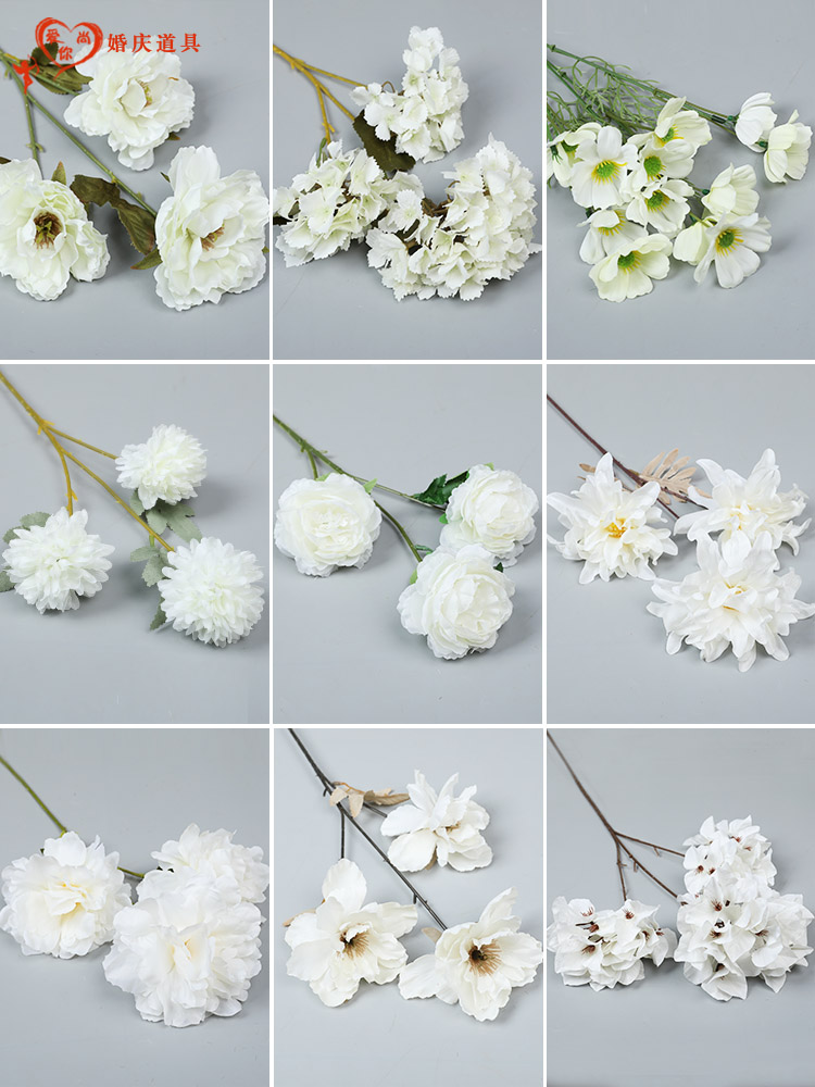 韩庄村：田园风光美如画